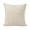 Hello Honey® Natural & Green Frog "The Kissing Booth is Closed" Linen Blend Pillow with French Knots